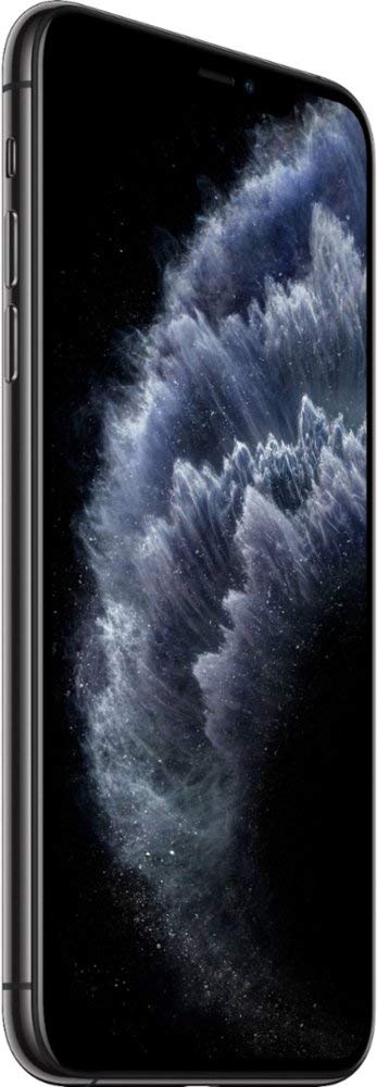 iPhone 11 Pro Max 256GB Space Gray Unlocked O841