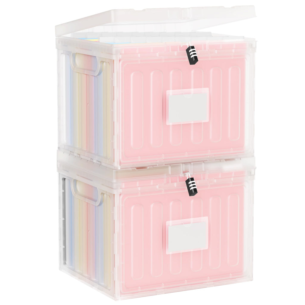 2 Drawer Plastic File Cabinet R1630