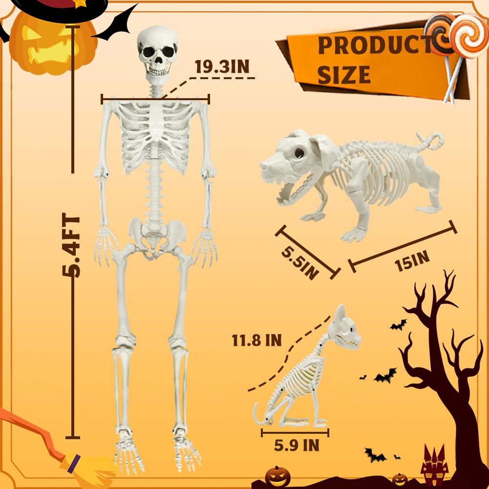 Full Size Skeleton with Dog Cat S50251