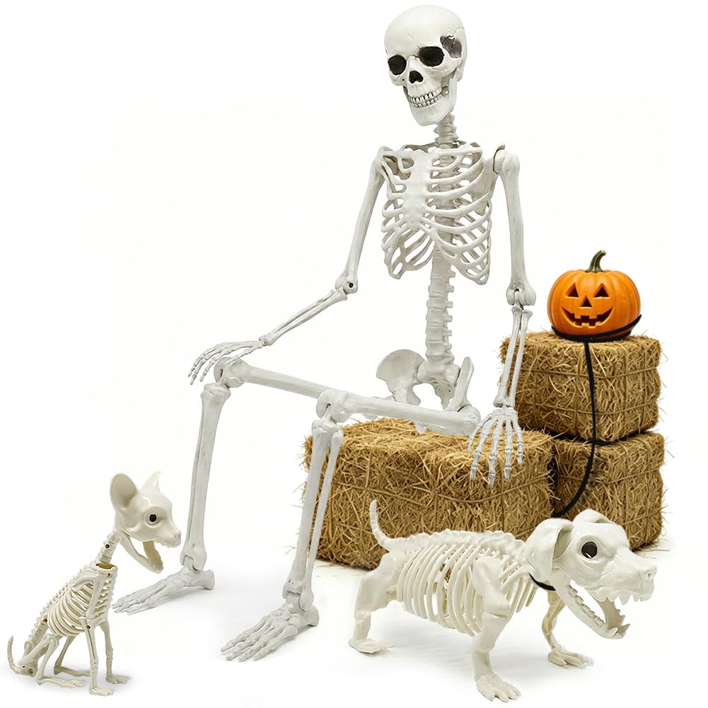 Full Size Skeleton with Dog Cat S50251