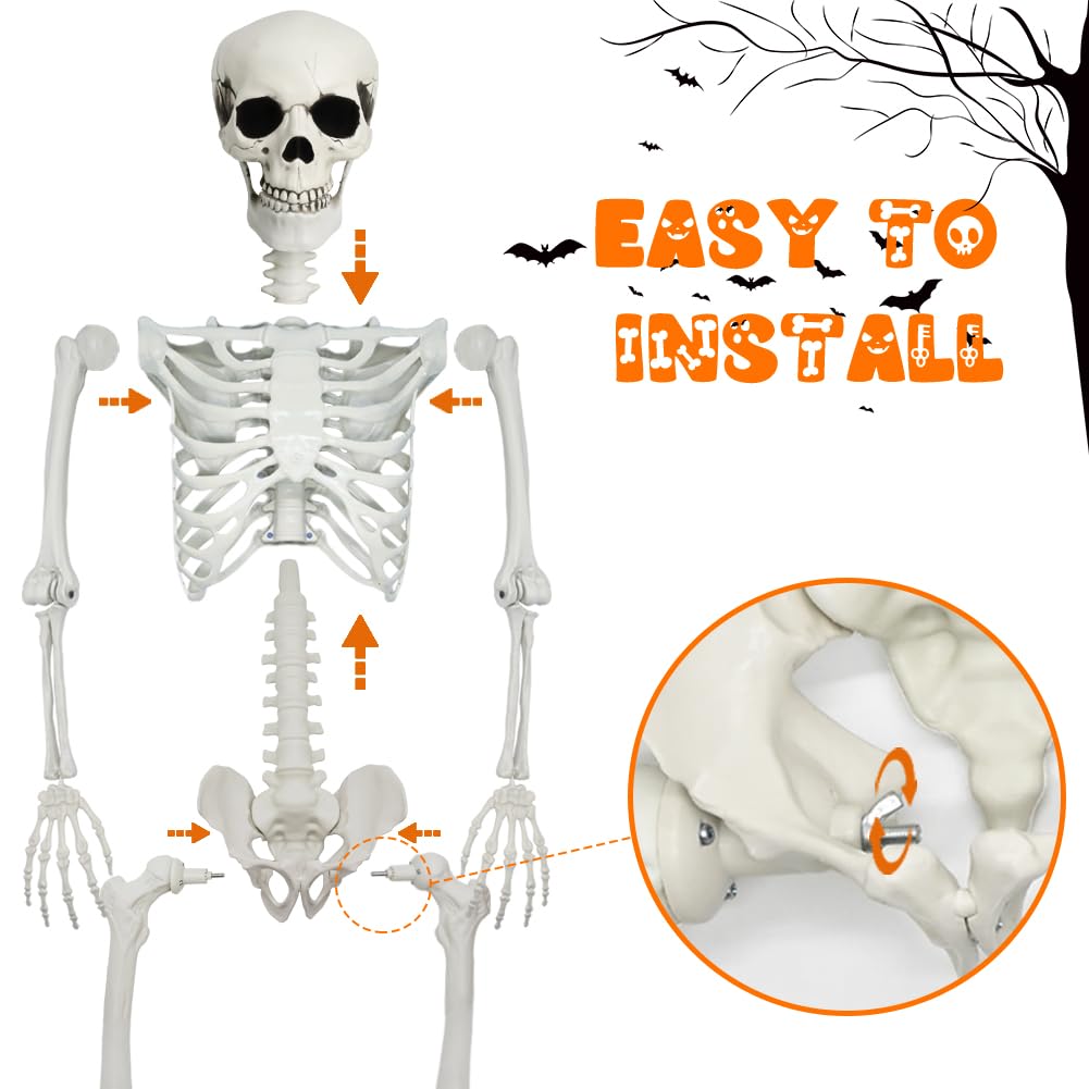 Full Size Skeleton with Dog Cat S50251