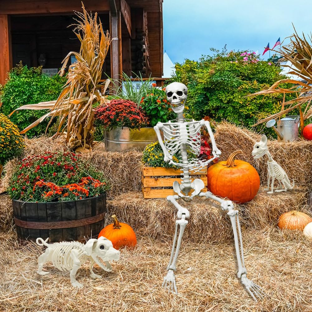Full Size Skeleton with Dog Cat S50251