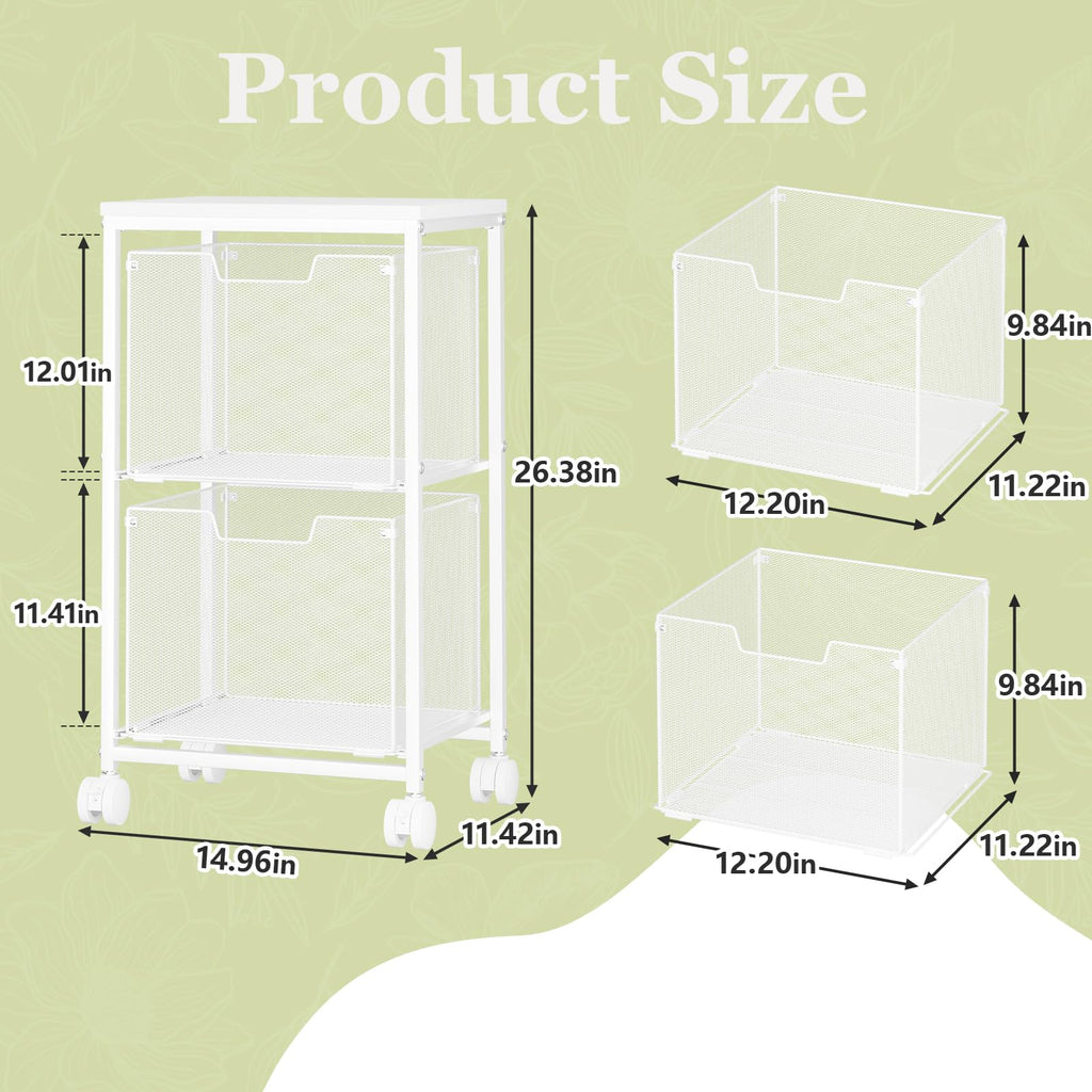 Rolling File Cart with 2 Storage Drawers L5515