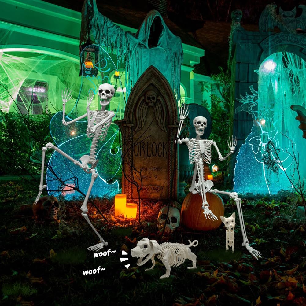 Full Size Skeleton with Dog Cat S50251