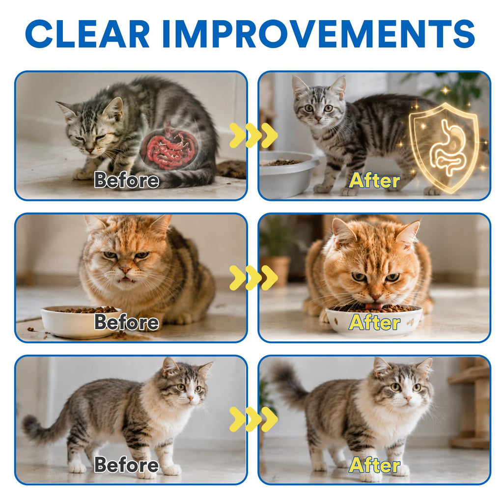 Pyrantel Pamoate Cat Dewormer C4425