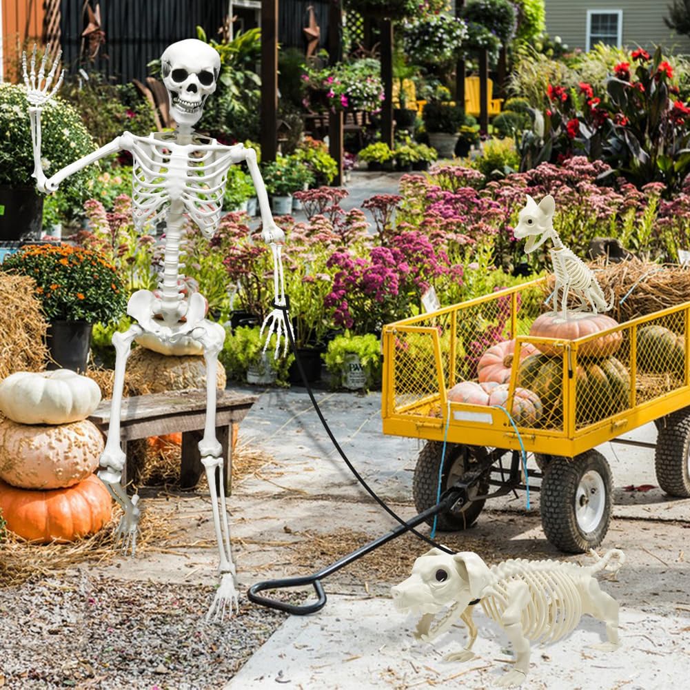 Full Size Skeleton with Dog Cat S50251