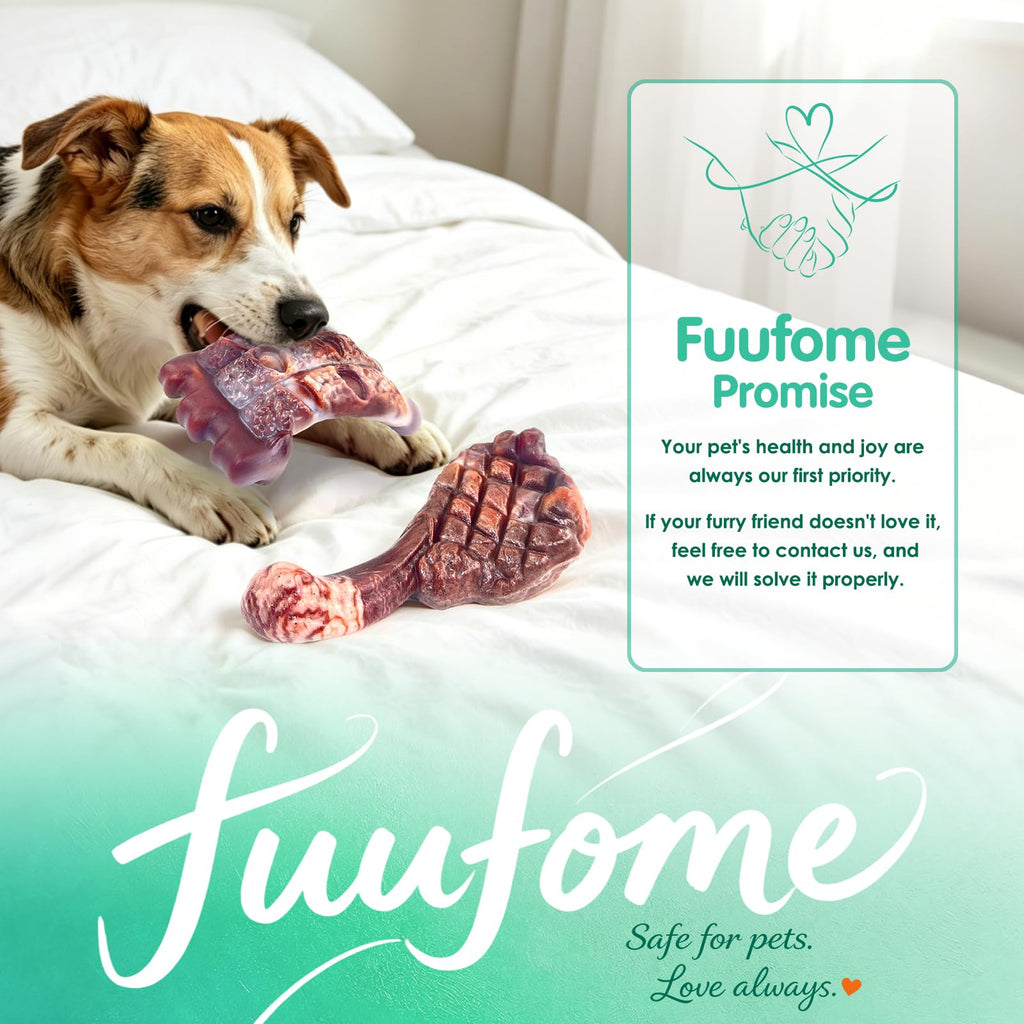 Tough Dog Chew Toys, 2 Pack Hard Nylon Bone C65470