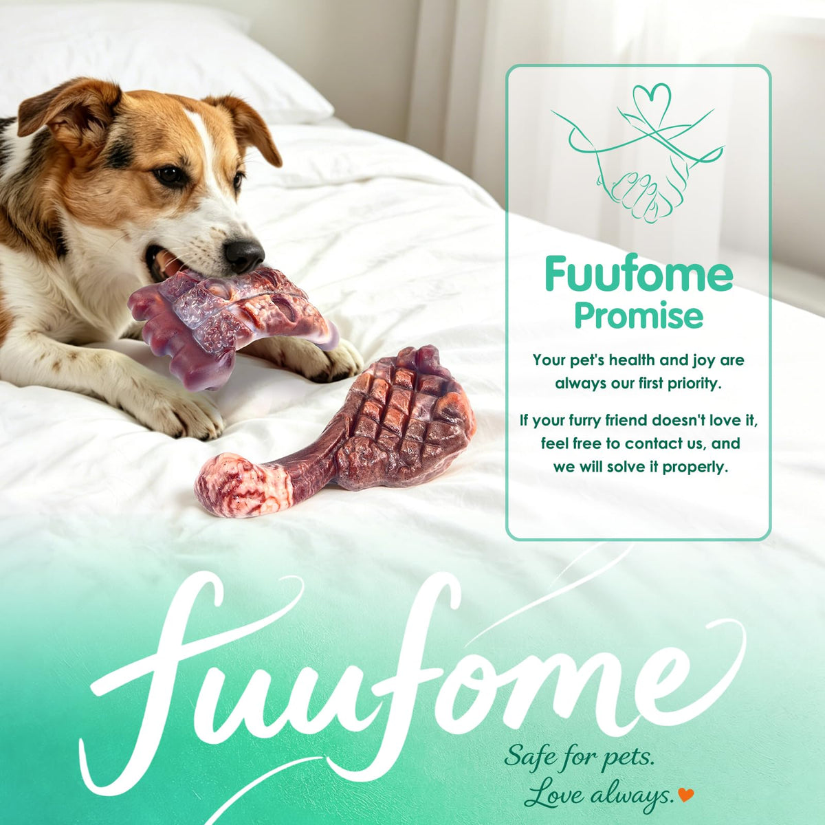 Tough Dog Chew Toys, 2 Pack Hard Nylon Bone C65470