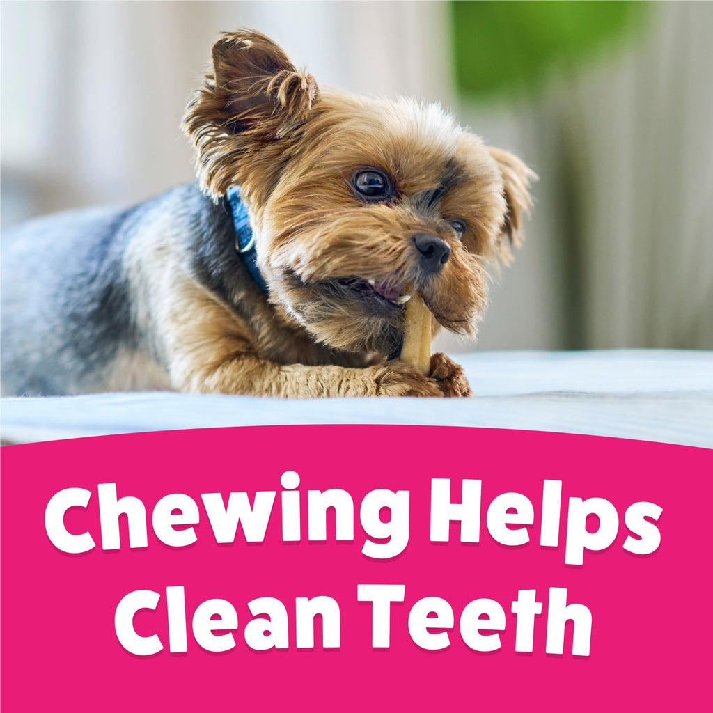 Dog Chew Treats 60 ct Pouch S5356