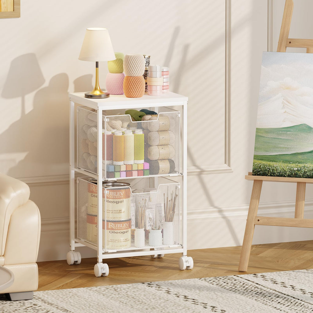 Rolling File Cart with 2 Storage Drawers L5515