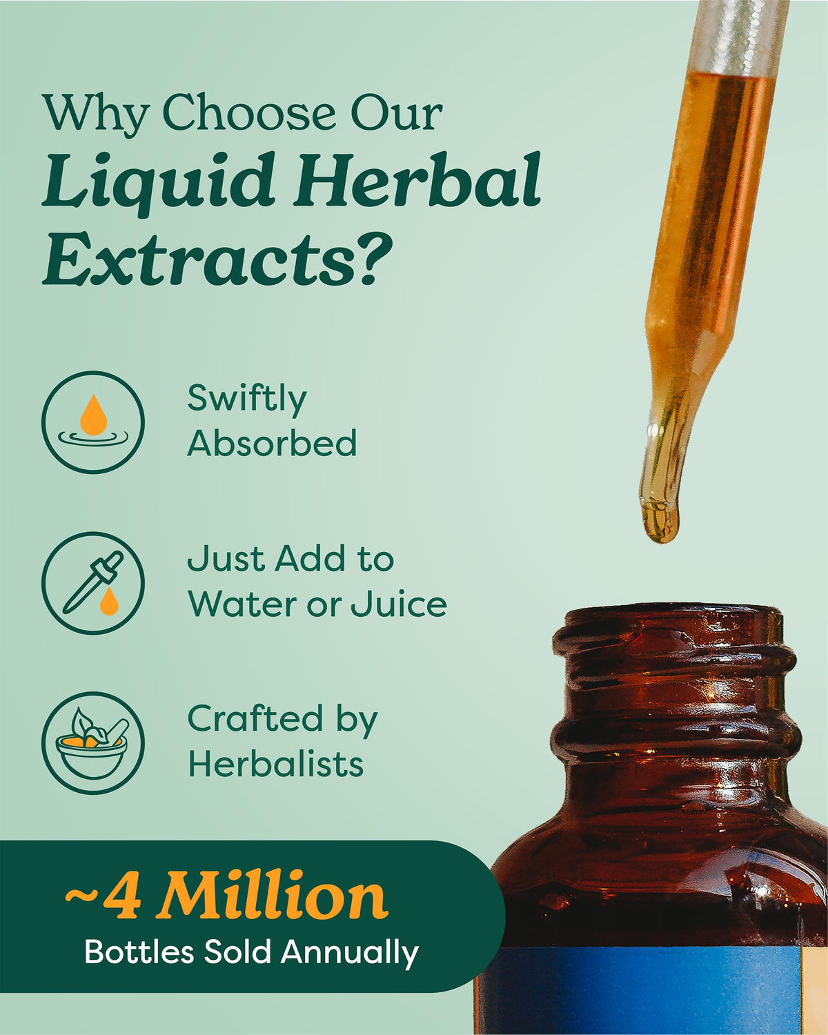 Organic Garlic Liquid Extract 1 Ounce H3992