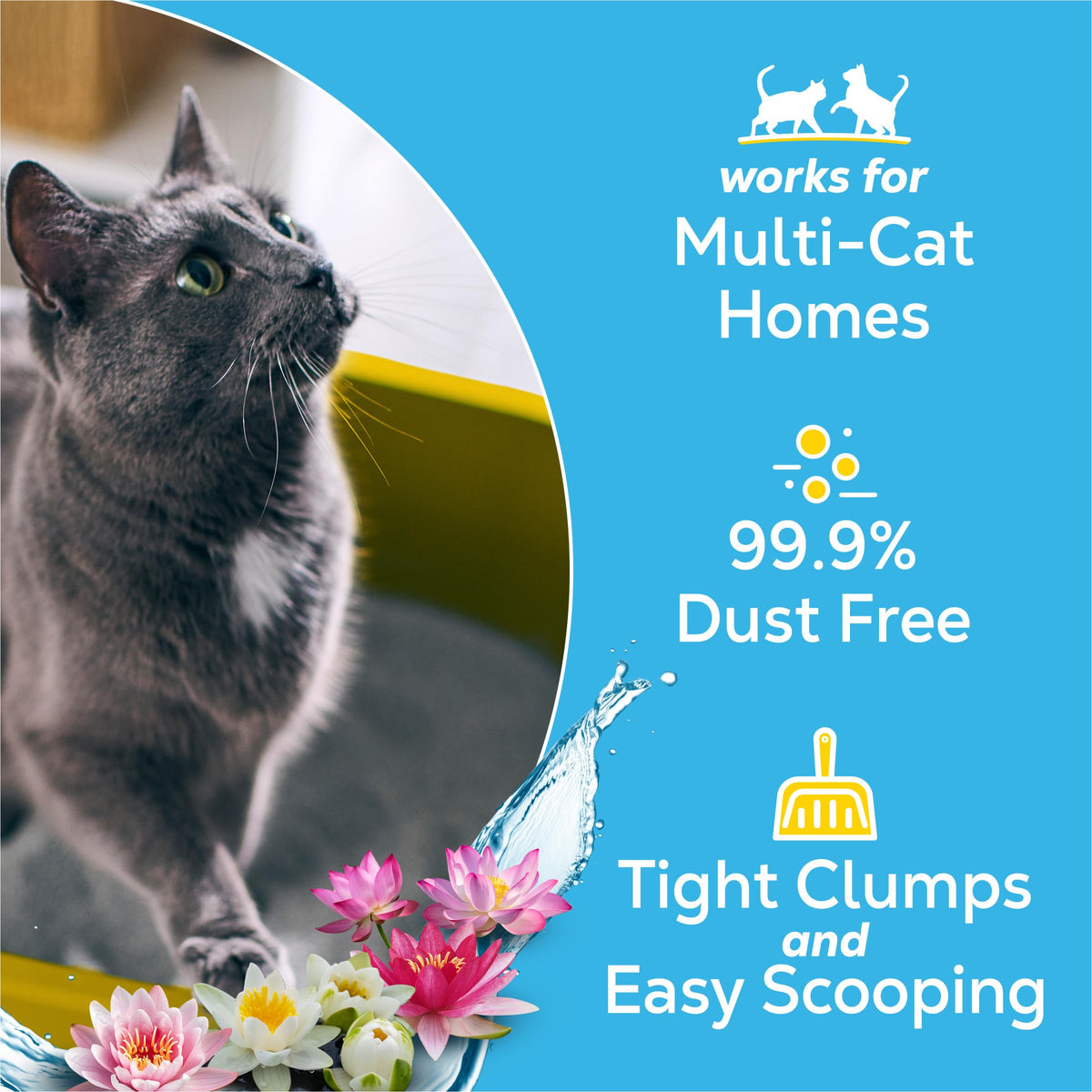 Clumping Cat Litter 38 lb T203