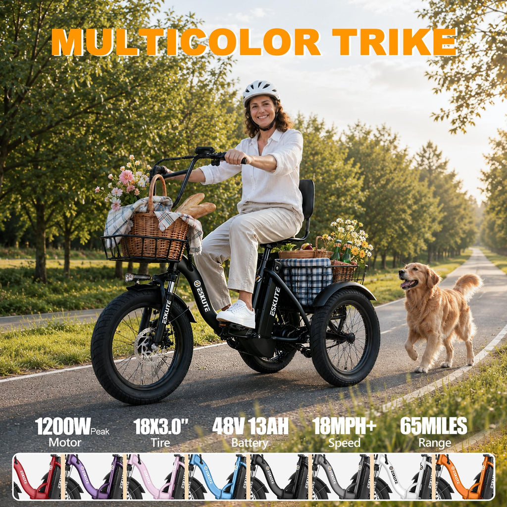 Electric Tricycle for Adults, 1200W Folding E-Trike, 48V 13Ah Battery, 18" Fat Tire 3-Wheel Electric Bike I154